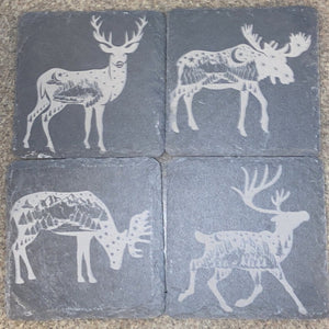 Four laser engraved slate coasters. One of a elk with scenery in it's body. One of a moose with an scenery in its body, another is a deer with scenery in its body and the last one is a reindeer with scenery in its body.